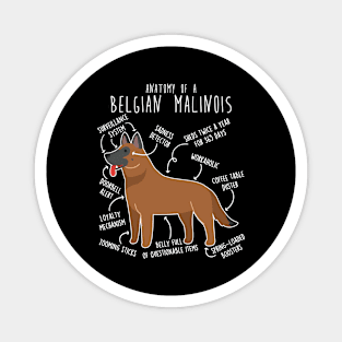 Red Mahogany Belgian Malinois Dog Anatomy Magnet